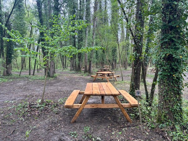 Tavoli in legno immersi nel verde del Parco del Sele